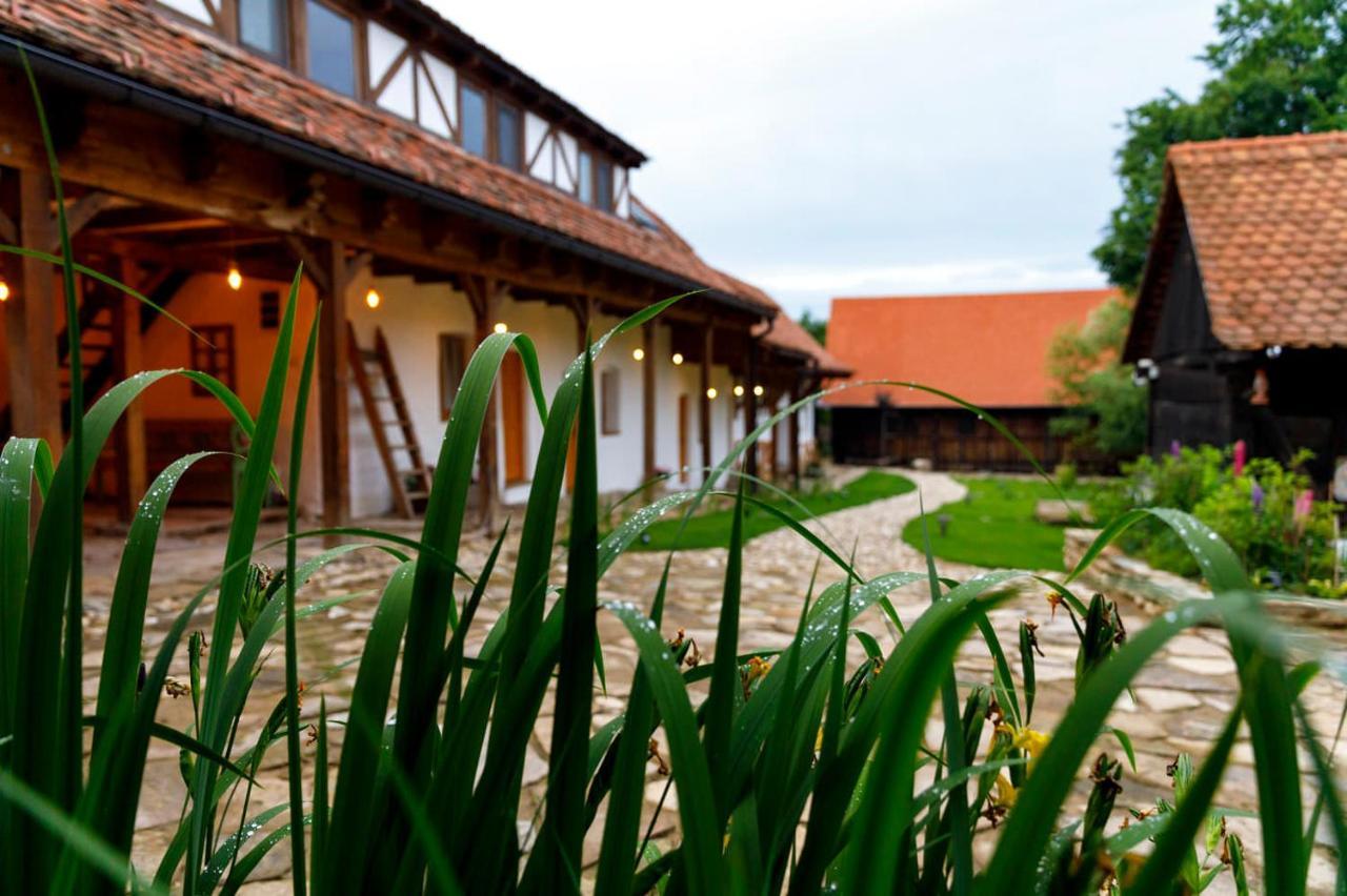 Viscri 44 Hotel Екстериор снимка